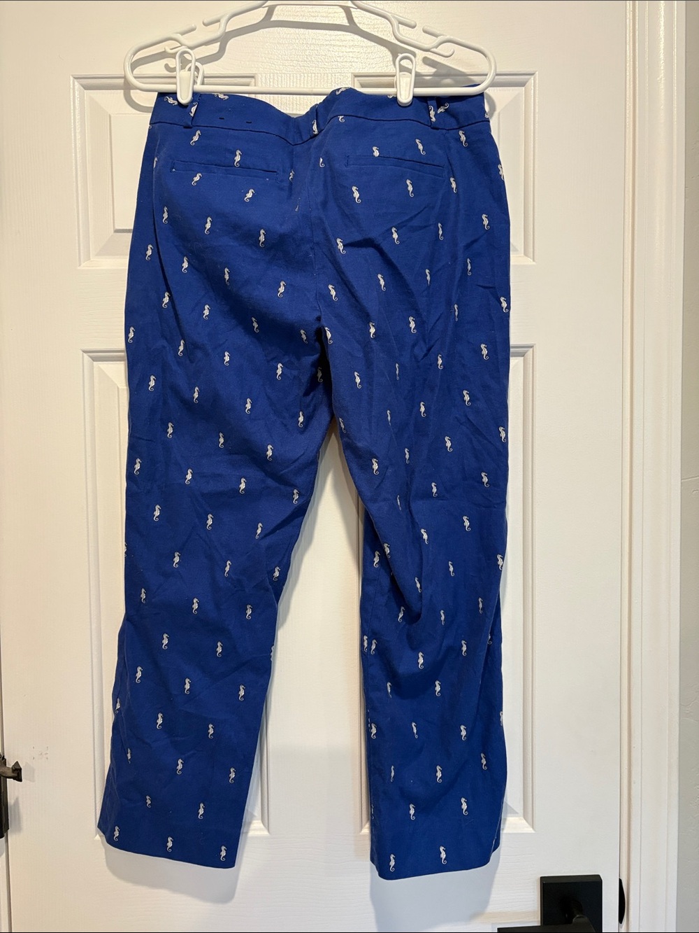 Banana Republic Navy Blue Hampton Fit Shorts with Polka Trim - Picture 4 of 4